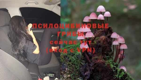 MDMA Premium VHQ Абинск